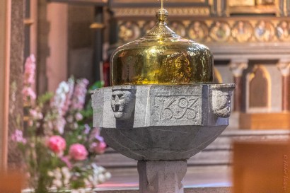 51500626808_c46f773cc6_o